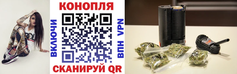 закладка  Истра  Конопля Amnesia 